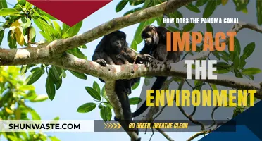 Panama Canal's Environmental Impact: Challenges and Conservation Efforts