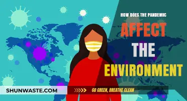 Pandemic's Paradox: Environmental Impacts and Unexpected Ecological Changes