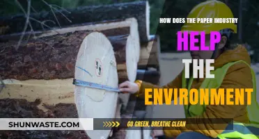 Sustainable Paper Production: Environmental Benefits and Eco-Friendly Practices