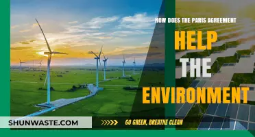 Paris Agreement: A Global Commitment to Combat Climate Change