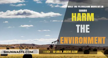 Canada's Petroleum Industry: Environmental Impacts and Ecological Consequences Explored