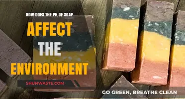 Soap pH Impact: Environmental Consequences and Sustainable Alternatives