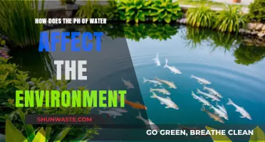 Water pH Impact: How Acidity and Alkalinity Shape Ecosystems