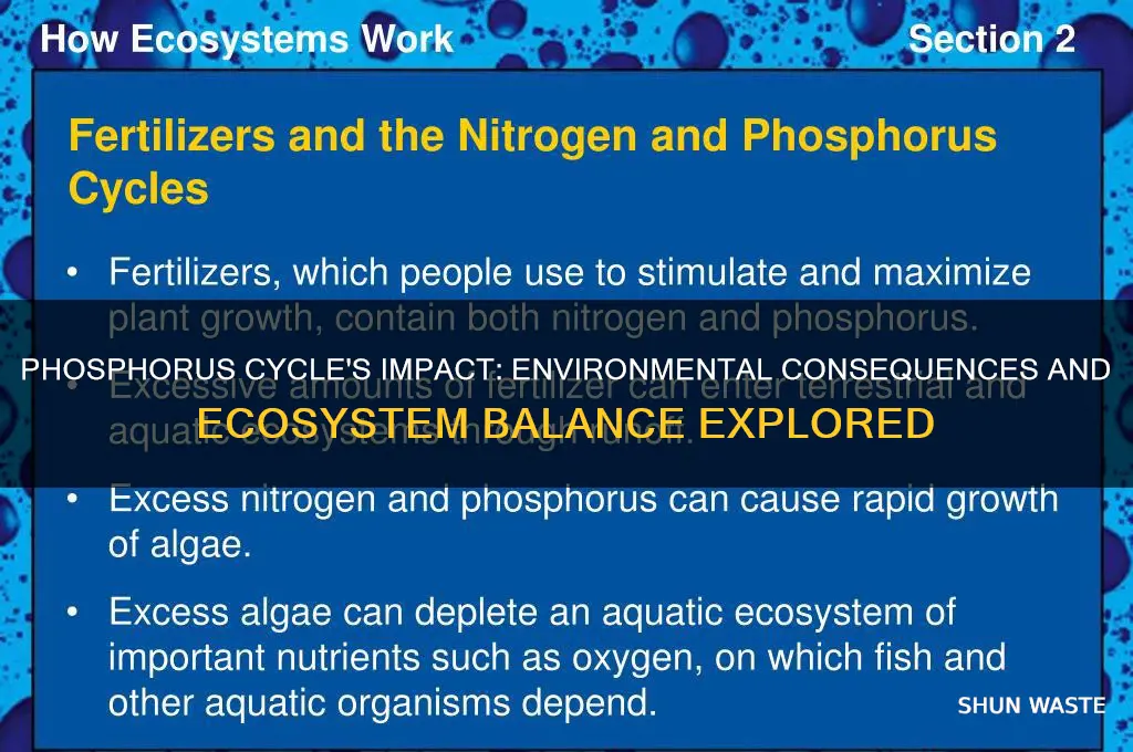how does the phosphorus cycle affect the environment