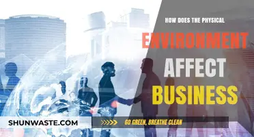 How Physical Environments Shape Business Success and Productivity