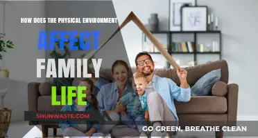 How Physical Spaces Shape Family Dynamics and Daily Life