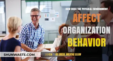 Physical Environment's Impact on Shaping Organizational Behavior and Culture