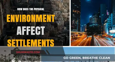 How Physical Environments Shape and Influence Human Settlements
