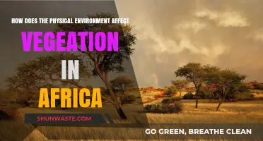 Africa's Landscapes: Shaping Vegetation Patterns and Biodiversity Across the Continent