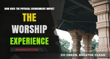 Sacred Spaces: How Physical Environments Shape Worship Experiences