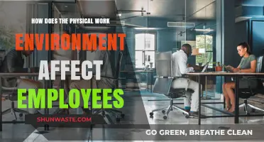 Workplace Design Impact: How Physical Spaces Shape Employee Productivity and Well-being