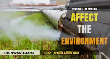 Pipeline's Environmental Impact: Assessing Ecological Consequences and Sustainability Challenges