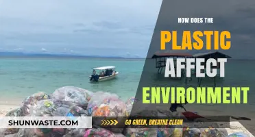 Plastic's Environmental Impact: Pollution, Wildlife, and Ecosystem Destruction Explained