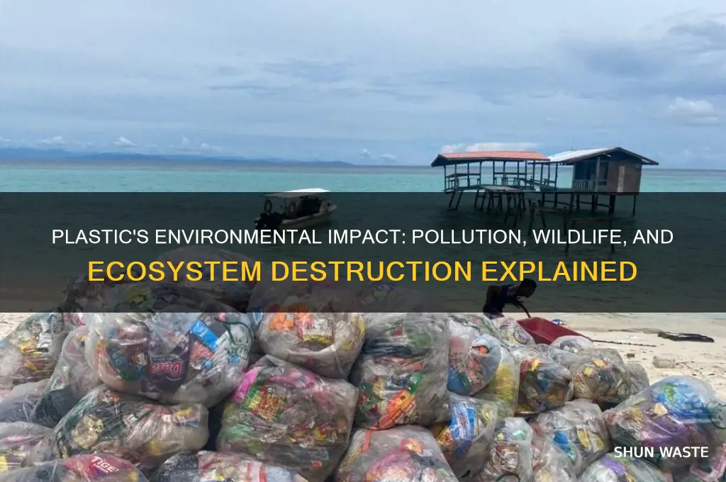how does the plastic affect environment