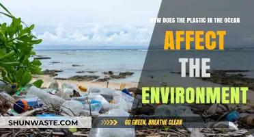 Ocean Plastic Crisis: Devastating Environmental Impacts and Urgent Solutions