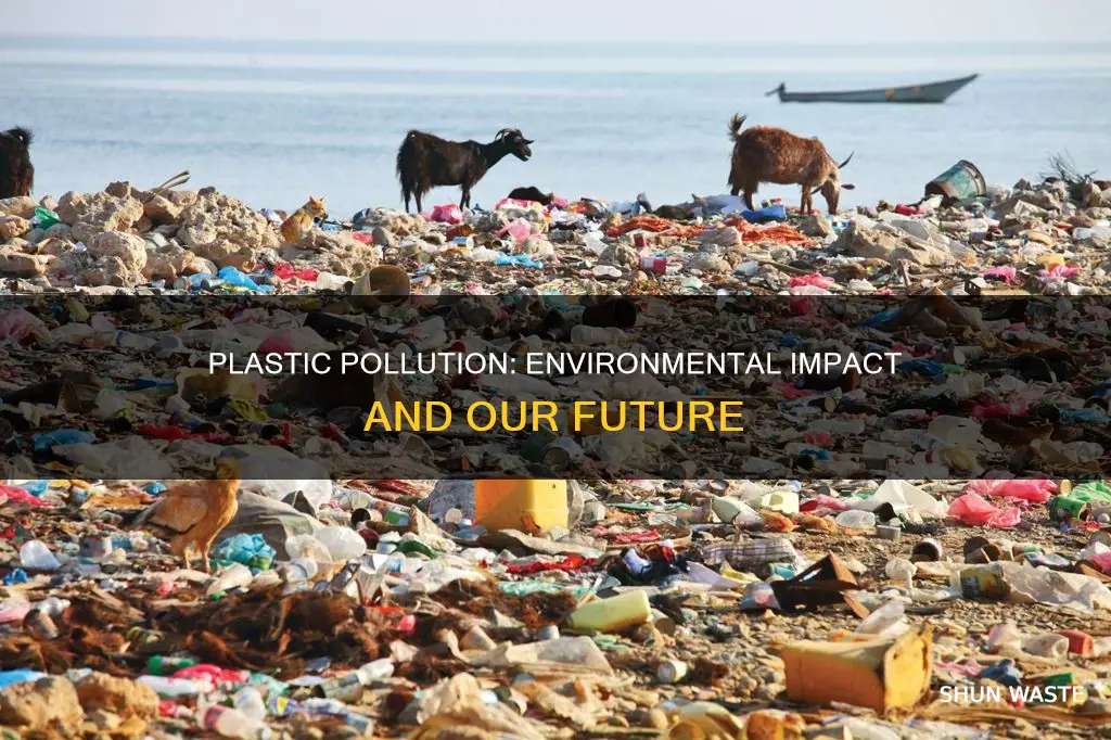 how does the plastic pollution affect the environment