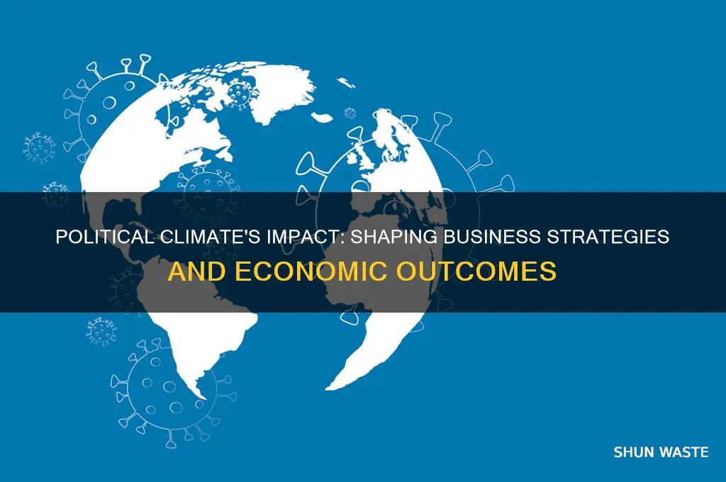 how does the political environment affect business