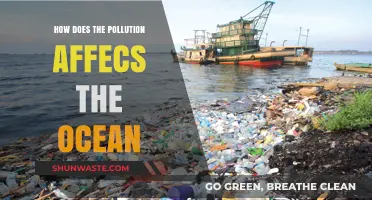 Ocean Pollution: Understanding the Devastating Impact