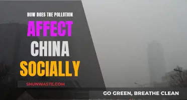 Pollution's Social Impact on China: A Complex Web