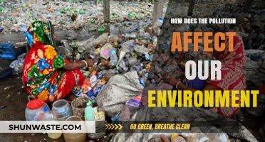 Pollution's Devastating Impact: How It Harms Our Environment and Future