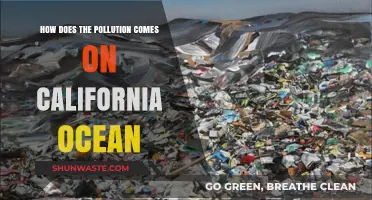 California's Ocean Pollution: Sources and Solutions