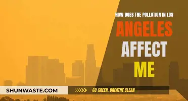 Los Angeles Pollution: How Does It Affect Your Health?