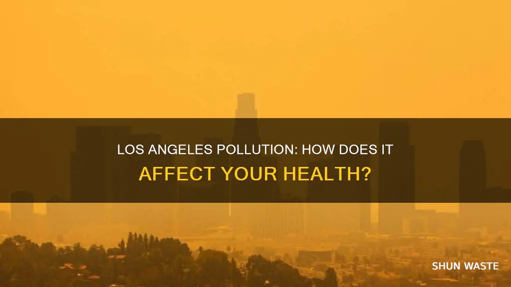 how does the pollution in los angeles affect me