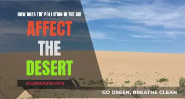 Air Pollution's Impact: Desert Ecosystems Under Threat