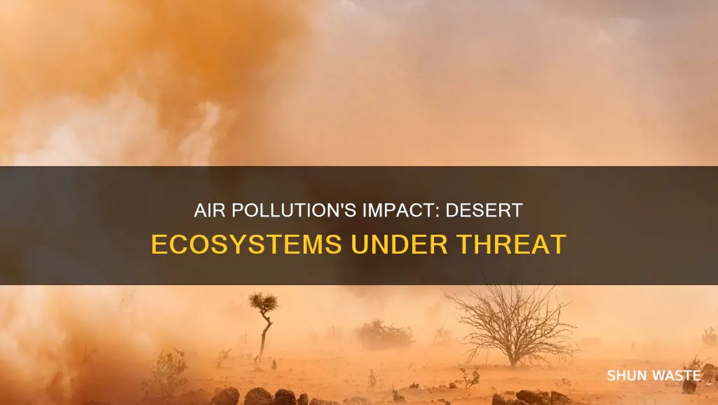how does the pollution in the air affect the desert