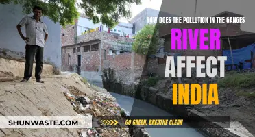 Ganges River Pollution: India's Ecological and Social Crisis