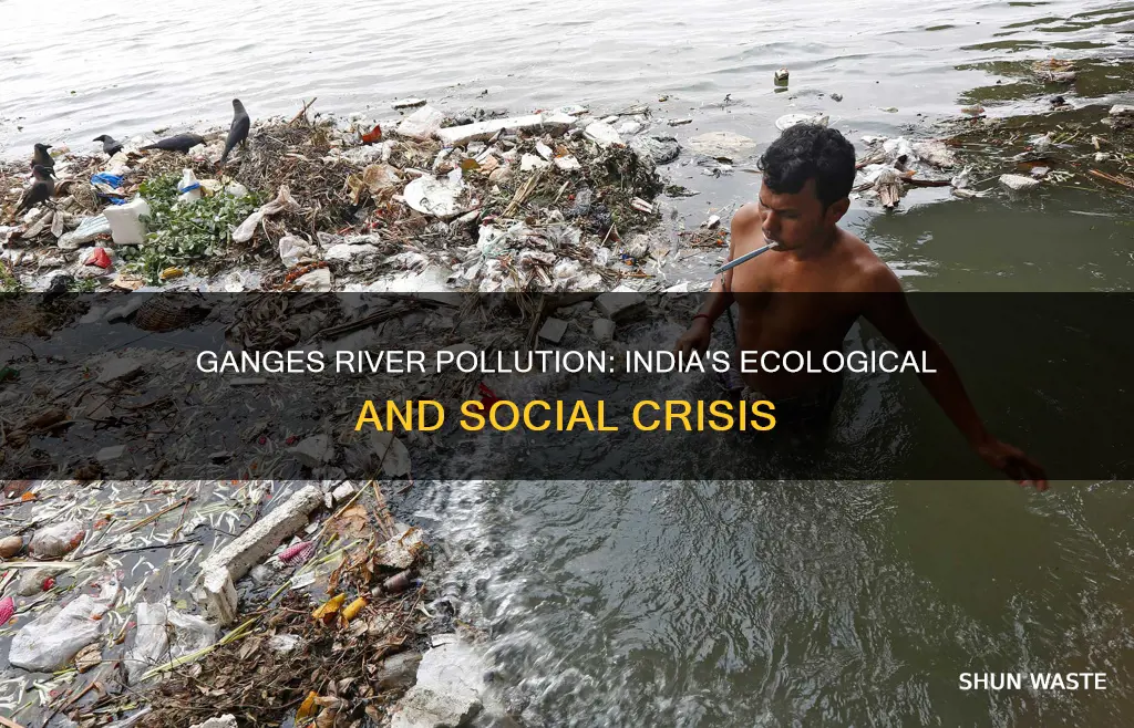 how does the pollution in the ganges river affect india