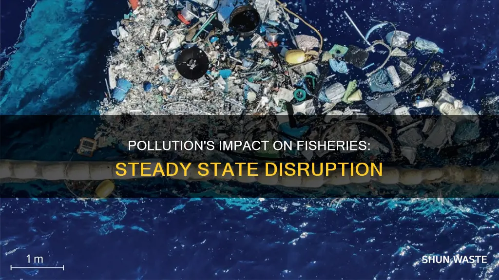 how does the pollution level affect the fisheries steady state