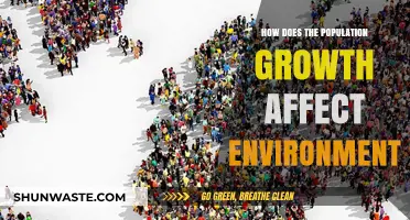 Population Growth's Impact: Environmental Challenges and Sustainable Solutions