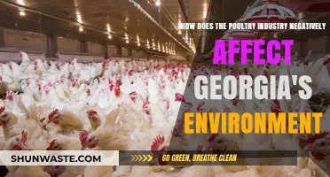 Poultry Industry's Environmental Toll on Georgia's Ecosystems and Resources