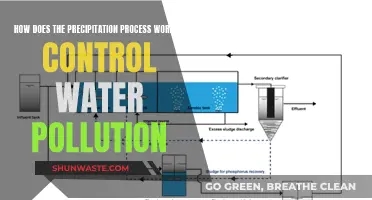 Precipitation's Role in Controlling Water Pollution: A Natural Process Explained