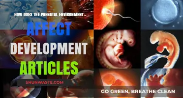 Prenatal Environment's Impact on Development: Insights from Recent Articles