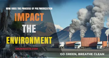 Polymerization's Environmental Impact: Processes, Challenges, and Sustainable Solutions