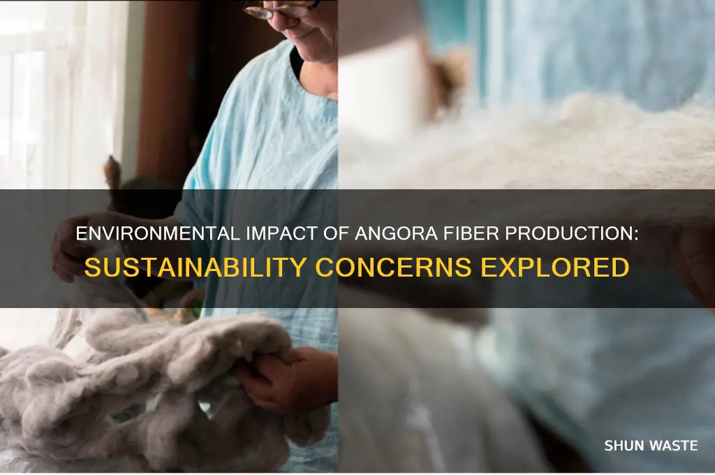 how does the production of angora fiber affect the environment