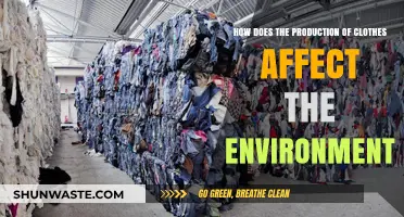 Clothing's Environmental Impact: Unraveling the Hidden Costs of Fashion Production