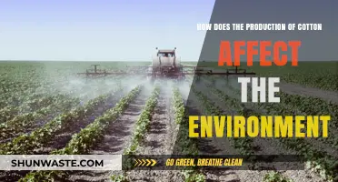Cotton's Environmental Impact: Production Practices and Their Ecological Consequences