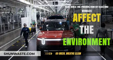 Electric Vehicle Production: Environmental Impact and Sustainability Challenges