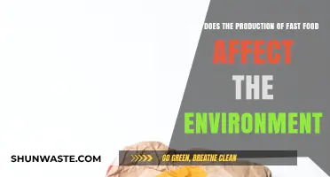 Fast Food's Hidden Cost: Environmental Impact of Quick Meals