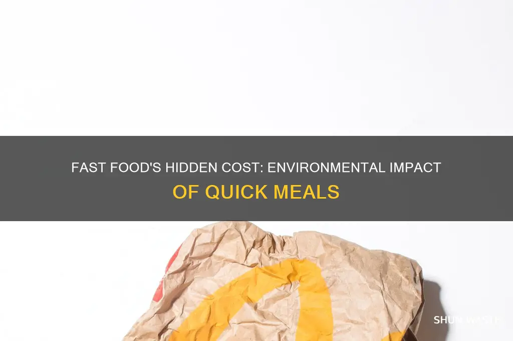 how does the production of fast food affect the environment