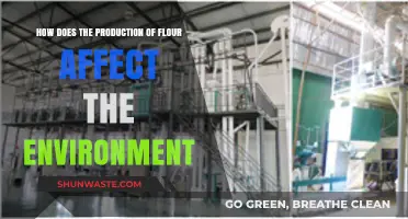 Flour Production's Environmental Impact: Sustainability Challenges and Solutions