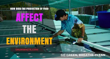 Food Production's Environmental Impact: Sustainability Challenges and Solutions