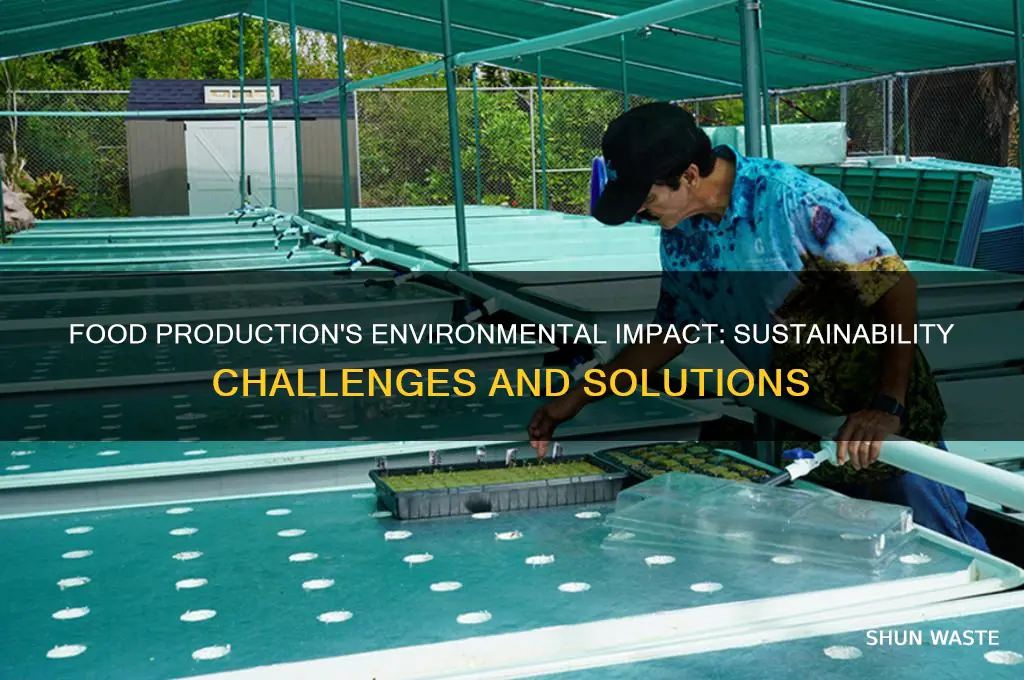 how does the production of food affect the environment
