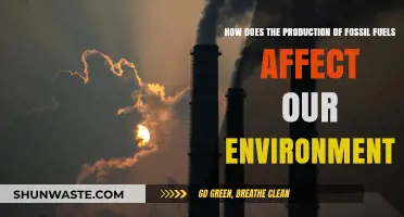 Fossil Fuel Production: Environmental Impacts and Long-Term Consequences