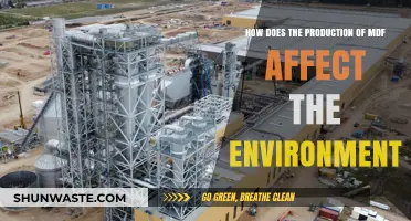 MDF Production's Environmental Impact: Sustainability Concerns and Solutions