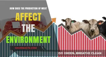 Meat Production's Environmental Impact: Climate, Land, and Resources Explained