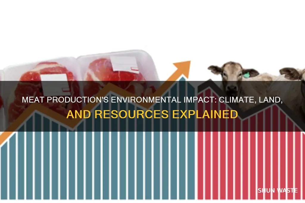 how does the production of meat affect the environment